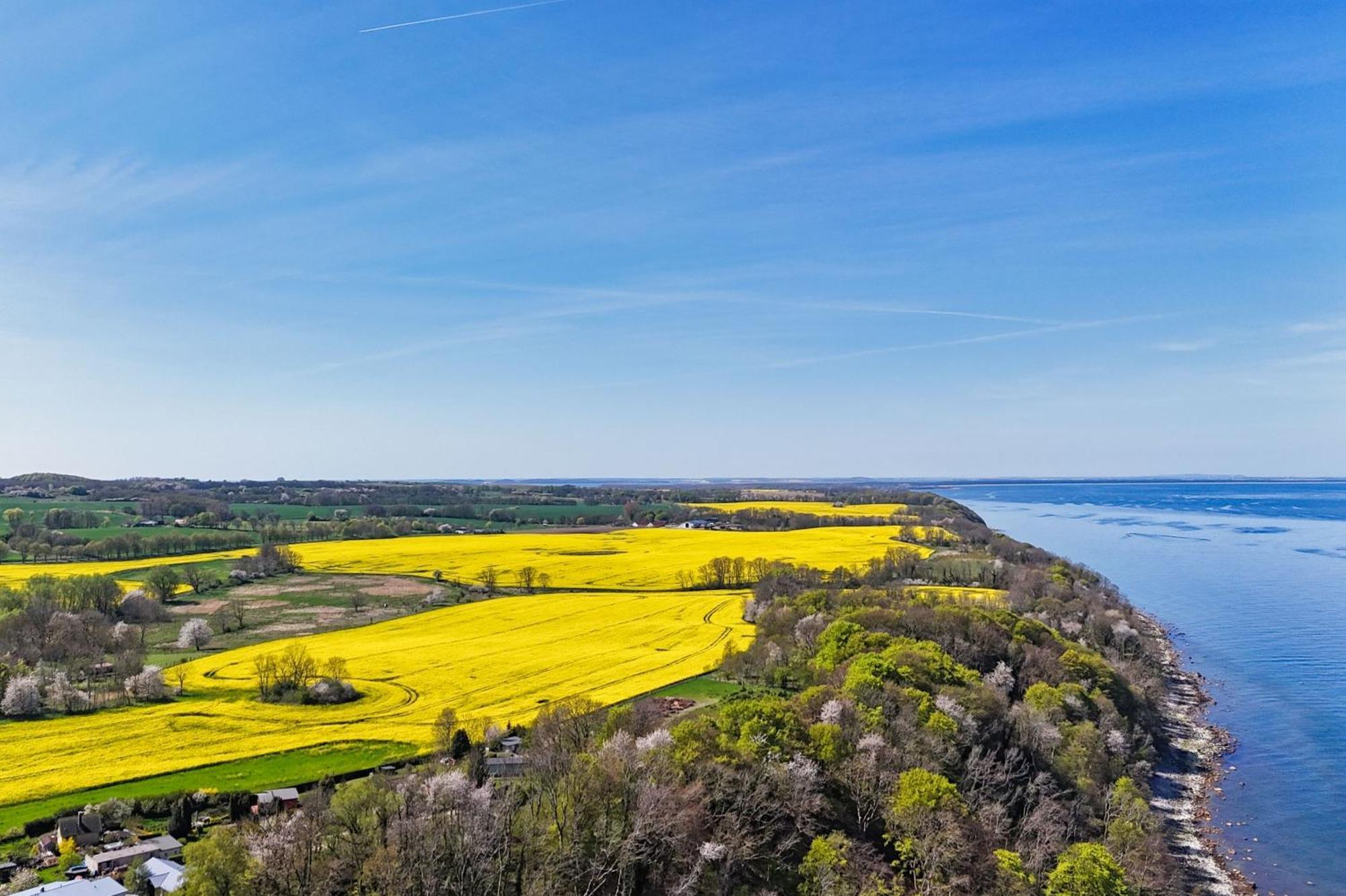 Ferienwohnung Mit Traumhaftem Meerblick - Haus Am Meer Fewo 11 Lohme Exterior foto